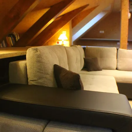 Arkady ホームステイ