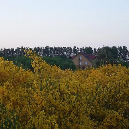 ホームステイ Arkady *