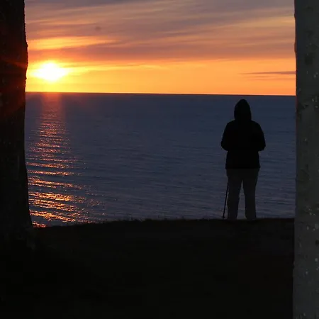 Arkady Alloggio in famiglia