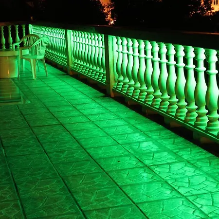 Arkady ホームステイ