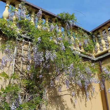 ホームステイ Arkady