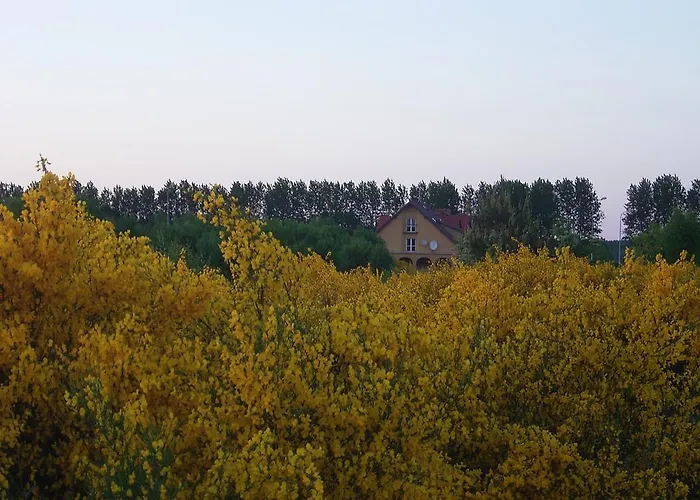 Habitación en casa particular Arkady *