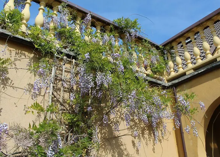 Habitación en casa particular Arkady